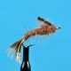 Brown Drake Nymph