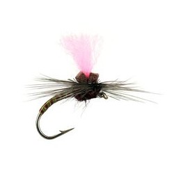 Olive Synquill Klinkhamer